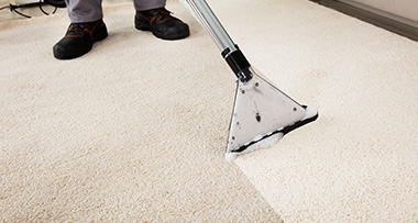 a person using a vacuum carpet cleaner to clean a carpet