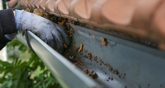 a person wearing gloves clearing a gutter of a build up of leaves and dirt